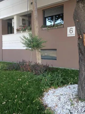 a house with a tree in front of it at Zemun residence in Novi Grad