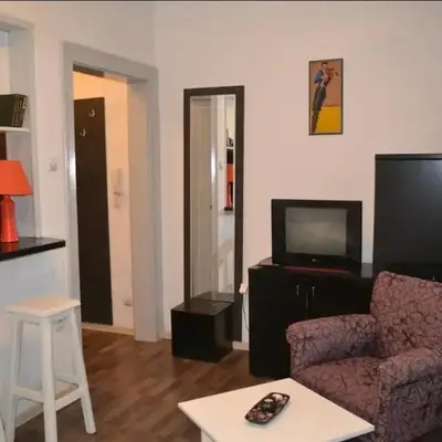 BelgradeCity center-Lekic apart 1