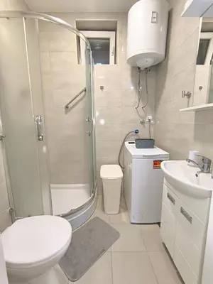 a bathroom with a shower and a toilet and a sink at Zoka in Surčin