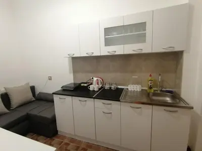 a kitchen with a sink and a couch in a room at Tsar Dušan Apartment in Belgrade