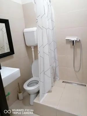 a bathroom with a toilet and a shower at Nikolas 2 in Belgrade
