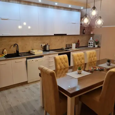 a kitchen with a wooden dining table and chairs at Apartman Dalmacija in Ečka