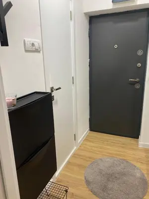 a black door with a rug in front of it at Urban Oasis Apartment in Sajmište