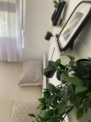 a plant in a room with a mirror and a lamp at Urban Oasis Apartment in Sajmište