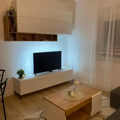 Urban Oasis Apartment