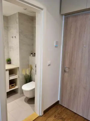 a bathroom with a toilet and a wooden door at All in One Belgrade Waterfront in Sajmište