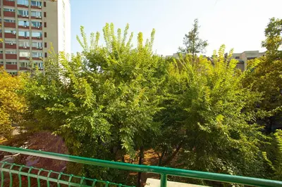 a green fence with trees and a building at Apartment Lea in Belgrade