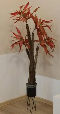 a small plant in a black pot on a stand at Apartman Natali in Karaburma
