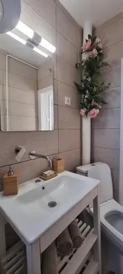 a bathroom with a sink and a mirror and a toilet at Art d'aimer in Sajmište