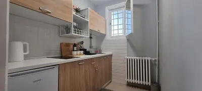 a small kitchen with a sink and a refrigerator at Art d'aimer in Sajmište