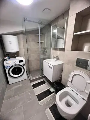 a small bathroom with a toilet and a sink at Daki apartment in Belgrade