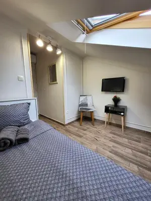 a bedroom with a bed and a flat screen tv at Guesthouse Ožegović in Belgrade