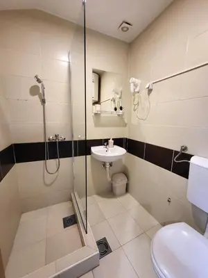 a bathroom with a shower and a sink and a toilet at Guesthouse Ožegović in Belgrade