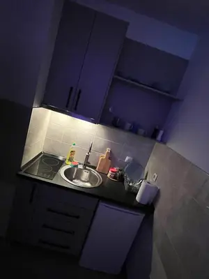 a kitchen counter with a sink and a stove at Una_2 in Čukarica