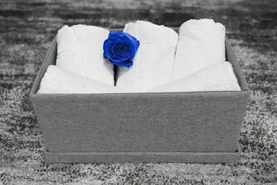 a blue rose sitting in a box with towels at Sunset Apartment in Smederevo
