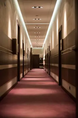 a hallway with a red carpet in a building at Atera Business Suites in Belgrade
