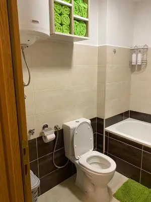 a bathroom with a toilet and a bath tub at Apartman Ljubica in Arandjelovac