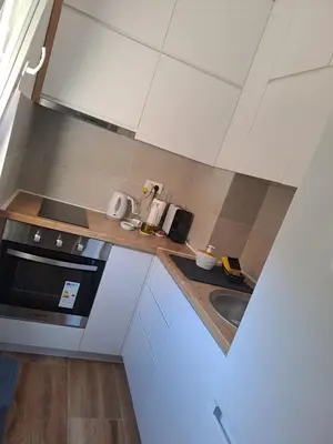 a small kitchen with a stove and a sink at Apartman Ana in Kumodraž