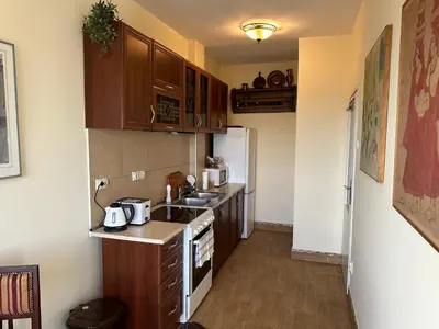 a small kitchen with a sink and a refrigerator at Vintage Delight Apartment Vracar Hram Sv Save in Belgrade