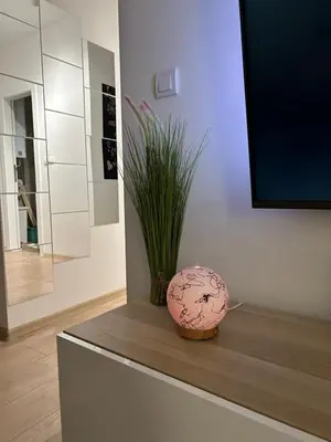 a vase sitting on top of a counter with a plant at Apartment Fiore in Smederevo