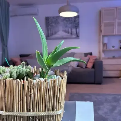 Apartment Fiore
