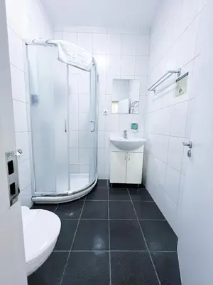a bathroom with a shower and a sink and a toilet at Centar Forever in Belgrade