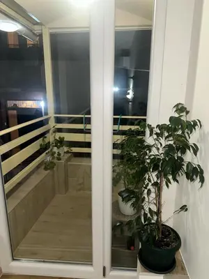 a glass door with a potted plant on a balcony at Apartman Krejović in Arandjelovac