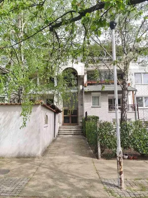 a white house with a door and a tree at Runaway Hill in Bežanija