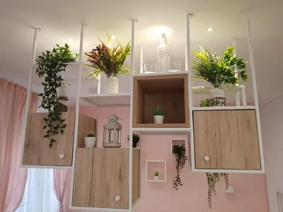 a room with shelves with potted plants on them at VeryBell in Belgrade