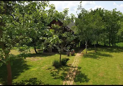 a house in the middle of a field with trees at Log cabin in Belgrade