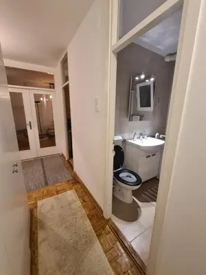a bathroom with a toilet and a sink at 70 square meters in Block 61 in Bežanija