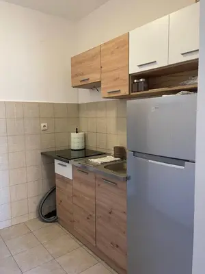 a kitchen with a white refrigerator and wooden cabinets at Cvetanov trg LUX 4 in Belgrade
