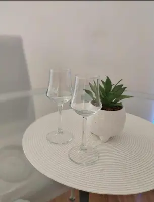 two wine glasses and a potted plant on a table at DomaćIN in Ledine