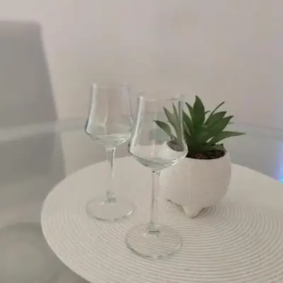 DomaćIN