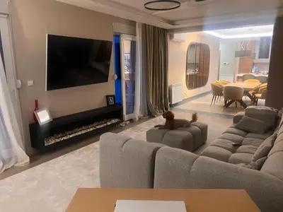 a living room with a couch and a tv at Autokomanda Large Family Apartment in Belgrade