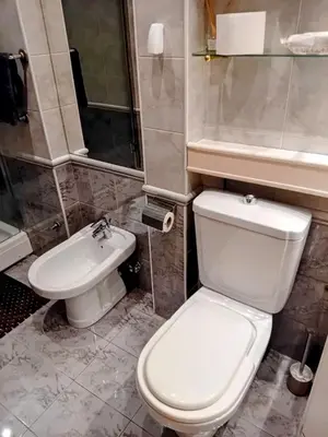 a bathroom with a toilet and a sink at St. Mark in Belgrade