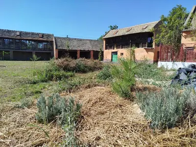 an old building with a bunch of plants in the yard at Eagles Court - Orlovski Vrt in Staji°evo