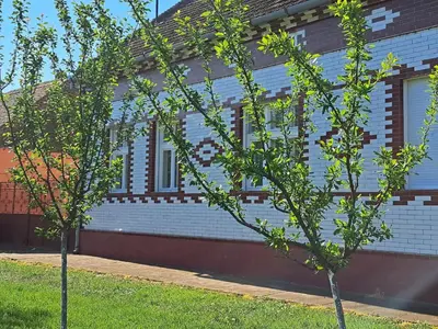 two trees in the grass in front of a building at Eagles Court - Orlovski Vrt in Staji°evo