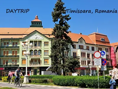 a building with a tree in front of a street at Eagles Court - Orlovski Vrt in Staji°evo