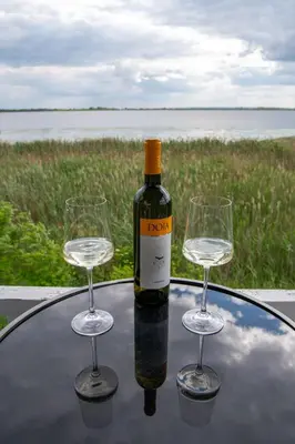 a bottle of wine and two wine glasses on a table at Carska oaza in Lukino Selo
