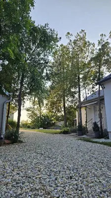 a gravel road in front of two houses and trees at Carska oaza in Lukino Selo