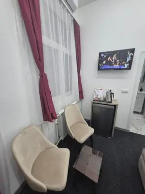 a living room with two chairs and a television at Authentic Belgrade Centre - 4 Suites in One Space, with patios in courtyard for smokers in Belgrade