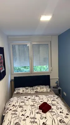 a bedroom with a bed and two windows at Modern one bedroom in the center of Belgrade in Belgrade