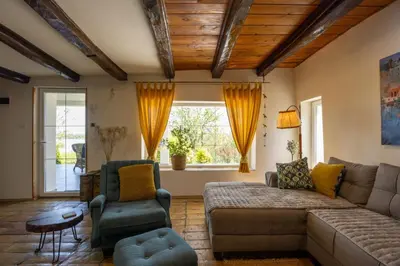a living room with a couch and chairs and a window at Honey Spa house in Novi Slankamen