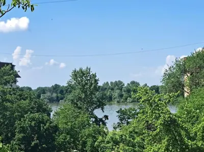 a view of a river through the trees at Cozy lux bedroom apt with balcony in Dorcol in Belgrade