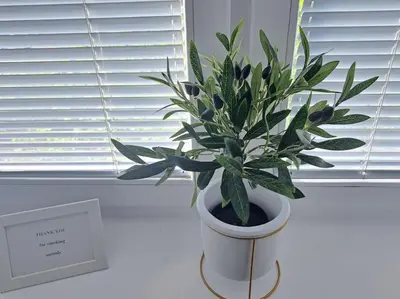 a plant in a white vase sitting in a window at Cozy lux bedroom apt with balcony in Dorcol in Belgrade