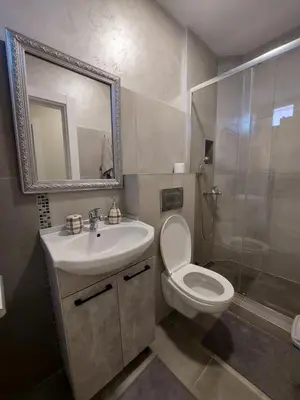 a bathroom with a toilet and a sink and a shower at D&N Apartman in Ledine