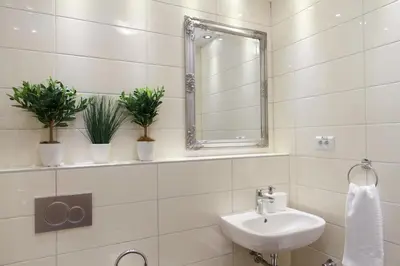 a bathroom with a sink and a mirror and plants at Central Belgrade Apartments 3 in Belgrade