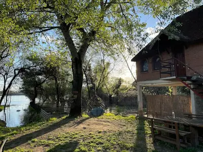 a house with a tree next to a body of water at River House in Belgrade