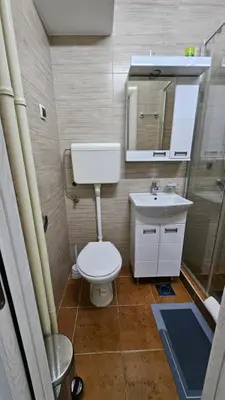 a small bathroom with a toilet and a sink at Apartman Pavlovic 2 in Dušanovac (historical)